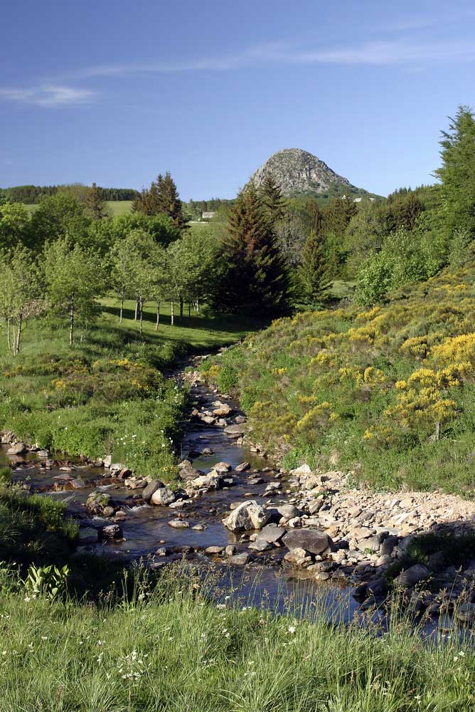 Ardèche (07), la loire à sa source et le Mont-Gerbier-de-Jonc, parc naturel des Monts d'Ardèche. Crédit : GUY Christian / hemis.fr