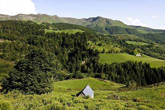 Cantal, monts du Cantal, PNR des Volcans d'Auvergne, la vallée de la Cère. Crédit : Guiziou Franck / hemis.fr