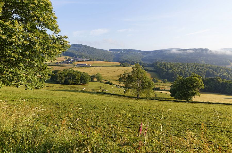 GR 131 - Du mont Beuvray à Autun