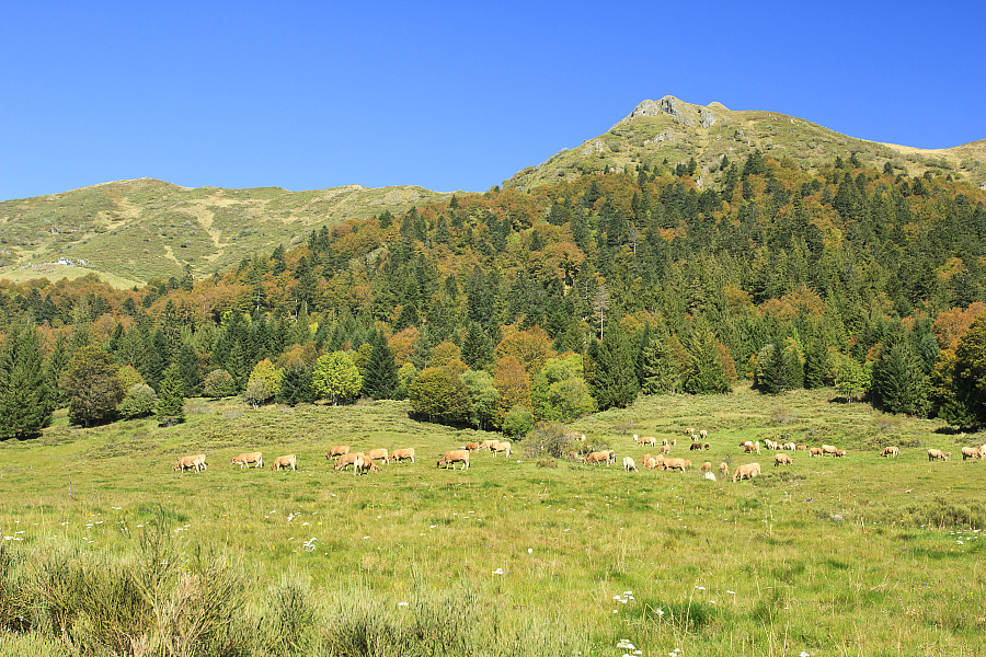 GR 400, boucle de la vallée de l'Alagnon