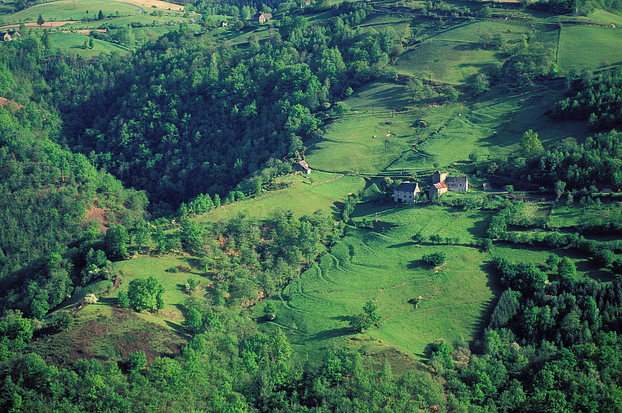 GR 465, des monts du Cantal à la vallée du Lot - De Murat à Conques par Entraygues