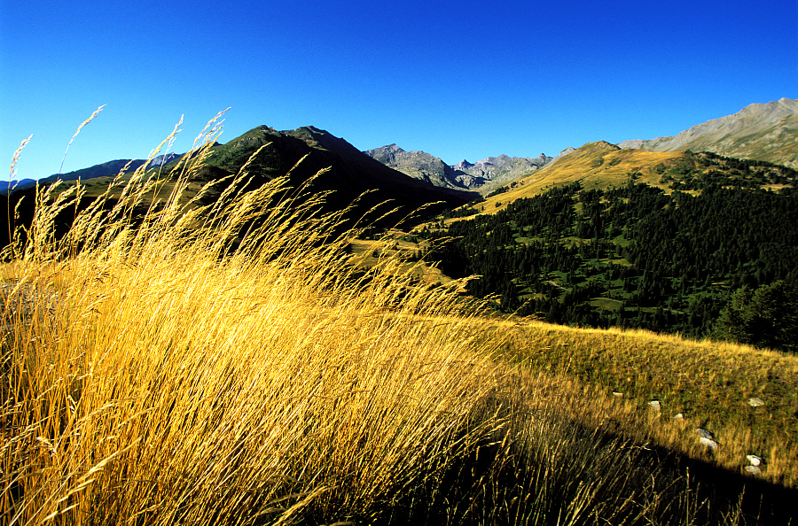 GR 5 - De Modane à Larche