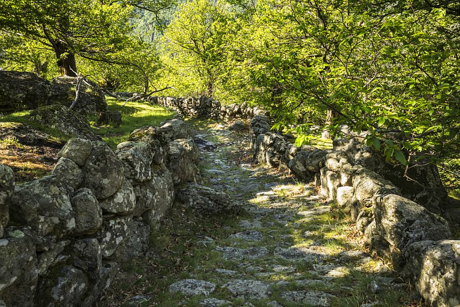 GR de Pays Le Cévenol - Variante par Valgorge