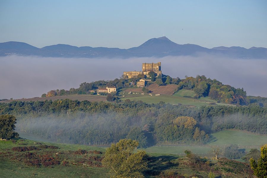 GR® 3 (variante) de Montbrison à Boën-sur-Lignon