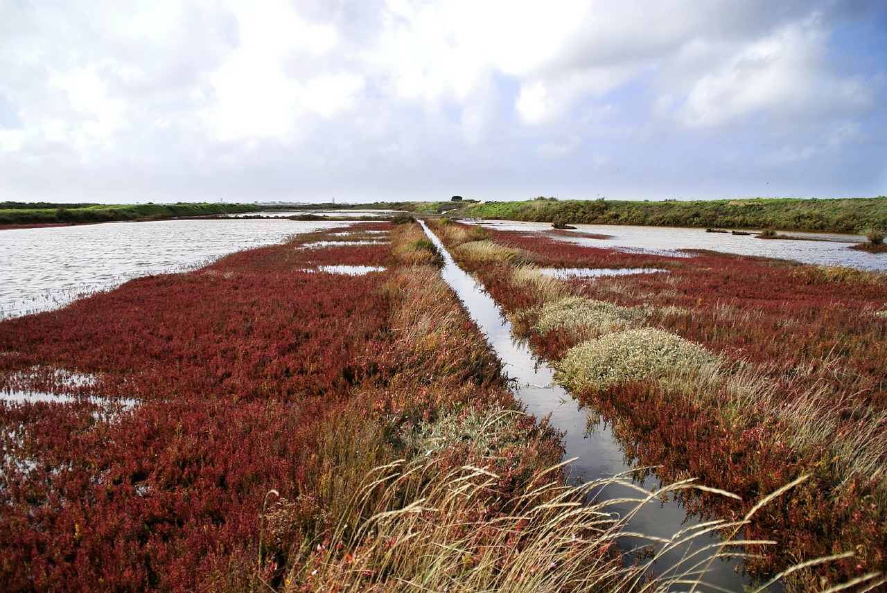 GR® 34 de la pointe de Merquel à Guérande