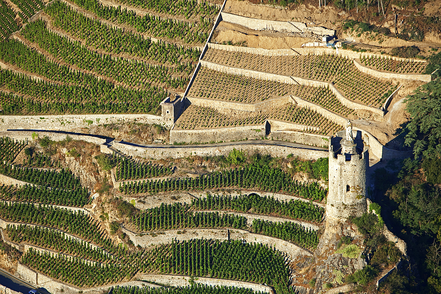 GR® 42, de Tournon-sur-Rhône à Cruas