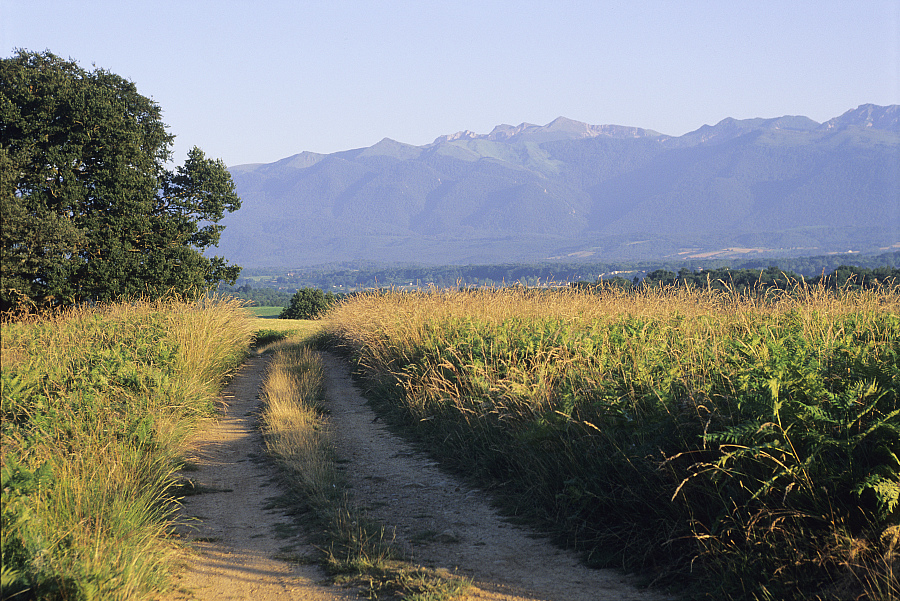 GR® 78 et 65, Le piémont pyrénéen dans les Pyrénées-Atlantiques