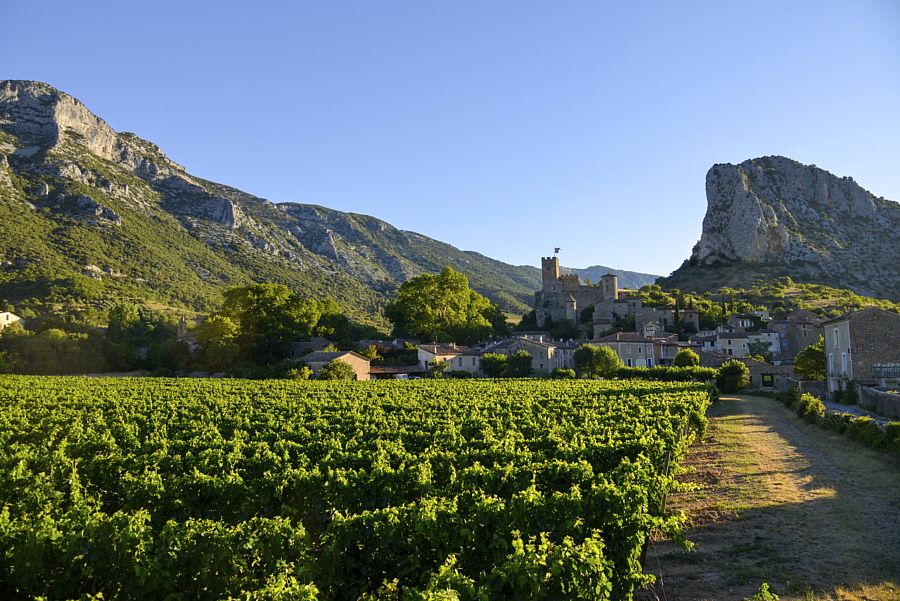 GR® de Pays Tours dans le Grand Pic Saint-Loup, des Londres à la Buèges