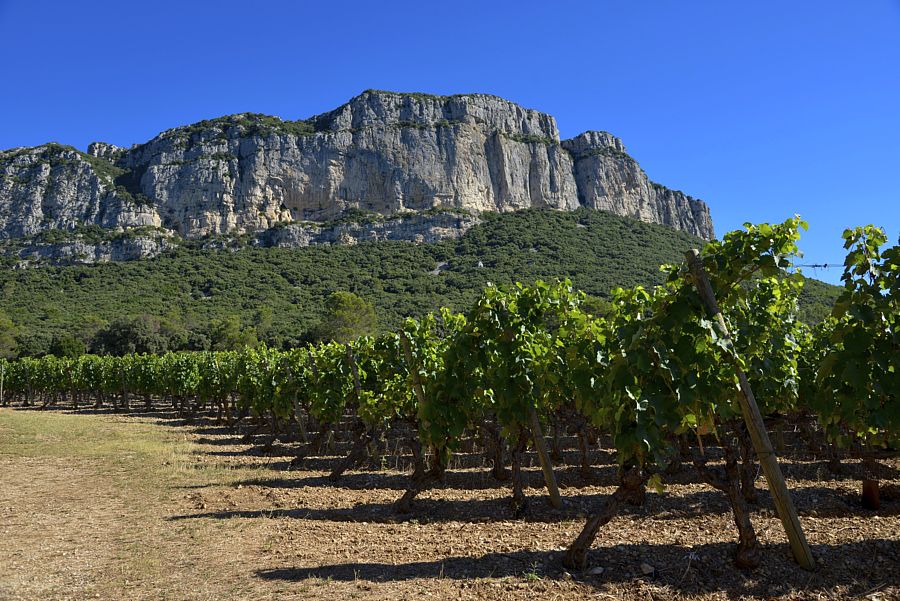 GR® de Pays Tours dans le Grand Pic Saint-Loup, les villages du Pic